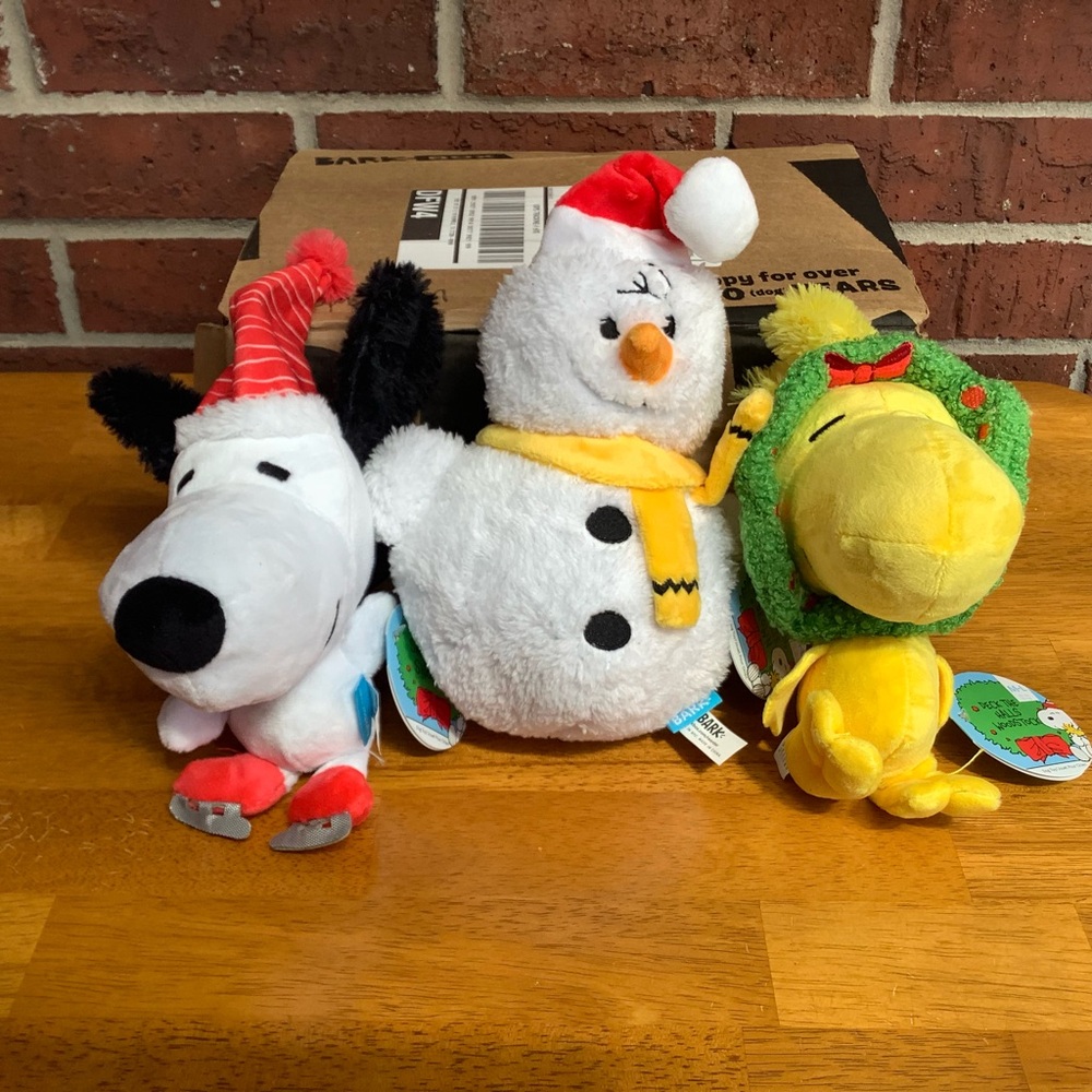 NWT Bark Box Peanuts Snoopy Collection Set of 3